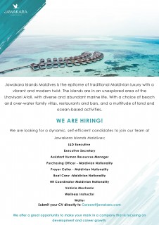 HR Coordinator - Maldivian Nationality